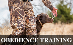 Dog Obedience Training | Soggy Acres Retrievers